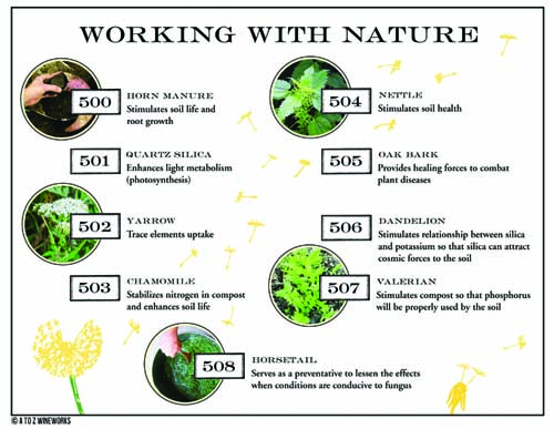 Biodynamic farming techniques